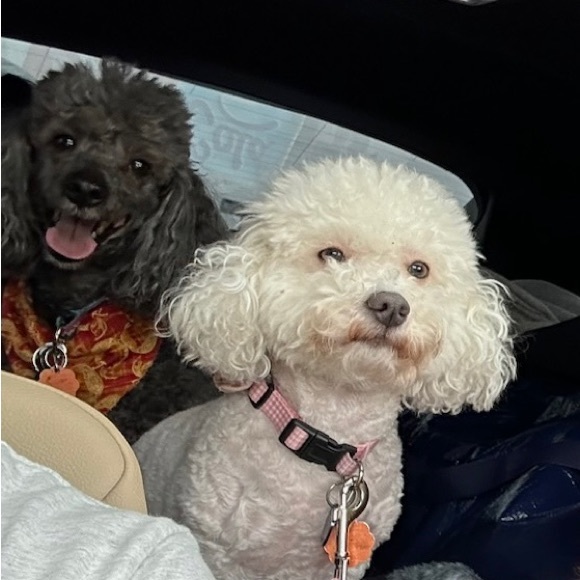 Welcome!! Thanks for visiting our closet! We look forward to visiting yo… - Picture 2 of 9